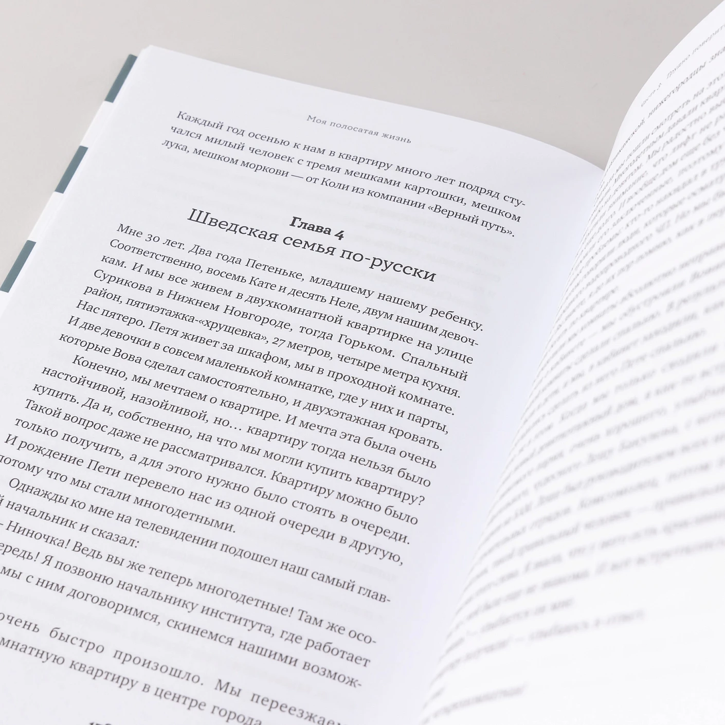 Моя полосатая жизнь. Рассказы оголтелой оптимистки фото книги маленькое 9