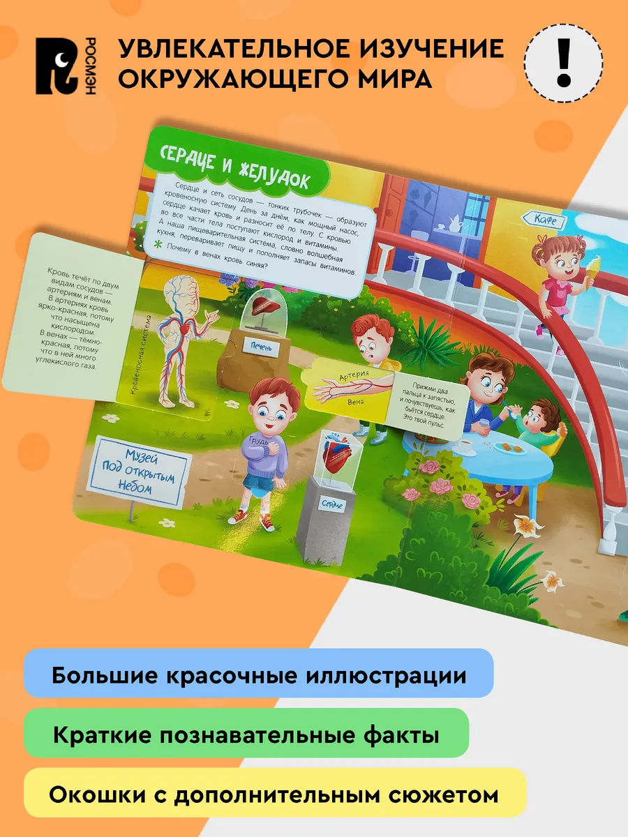 Книги с окошками. Тело человека фото книги маленькое 4