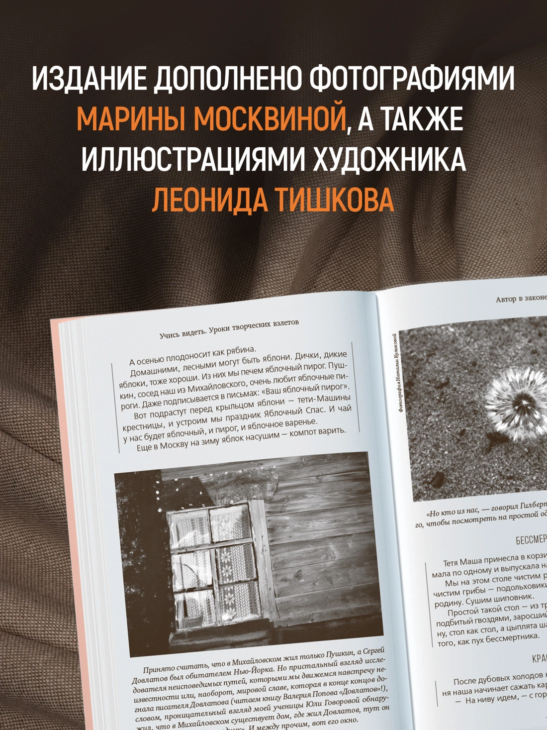 Учись видеть. Уроки творческих взлетов фото книги маленькое 11