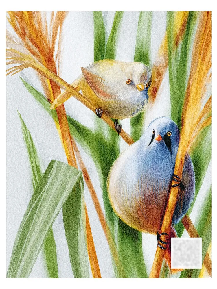 Синицы фото книги маленькое 12