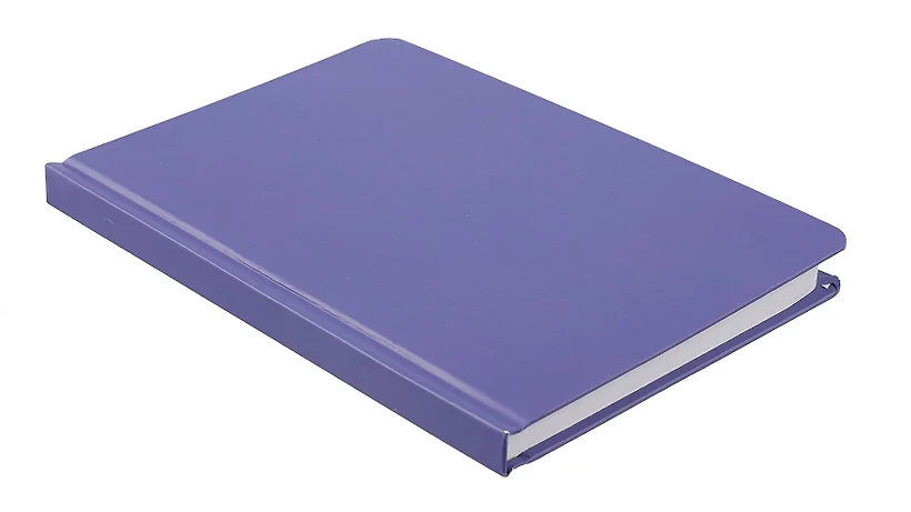 MyArt. Van Gogh Сollection СКЕТЧБУК. Ирисы фото книги маленькое 3