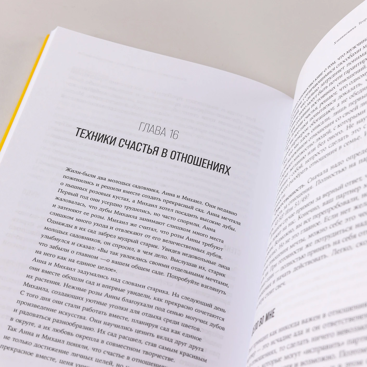 Хэппиномика. Теория и практика счастливой жизни фото книги маленькое 9