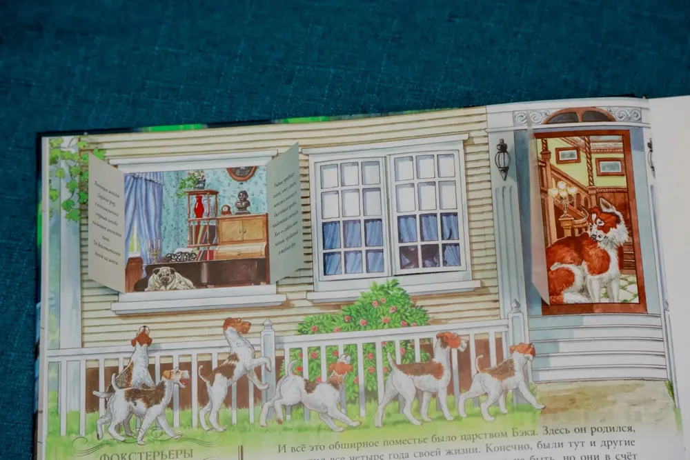 Зов предков фото книги маленькое 7