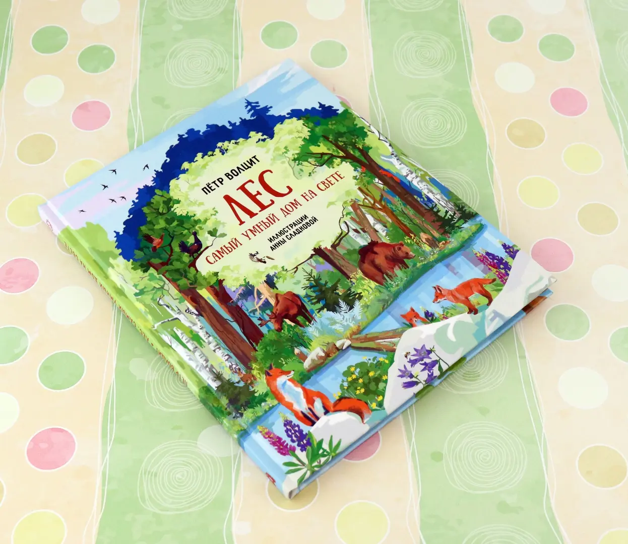 Лес. Самый умный дом на свете фото книги маленькое 9