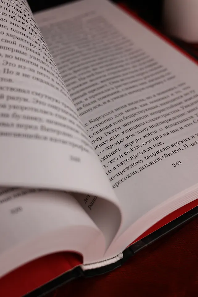 Загадка Эдгара По фото книги маленькое 15