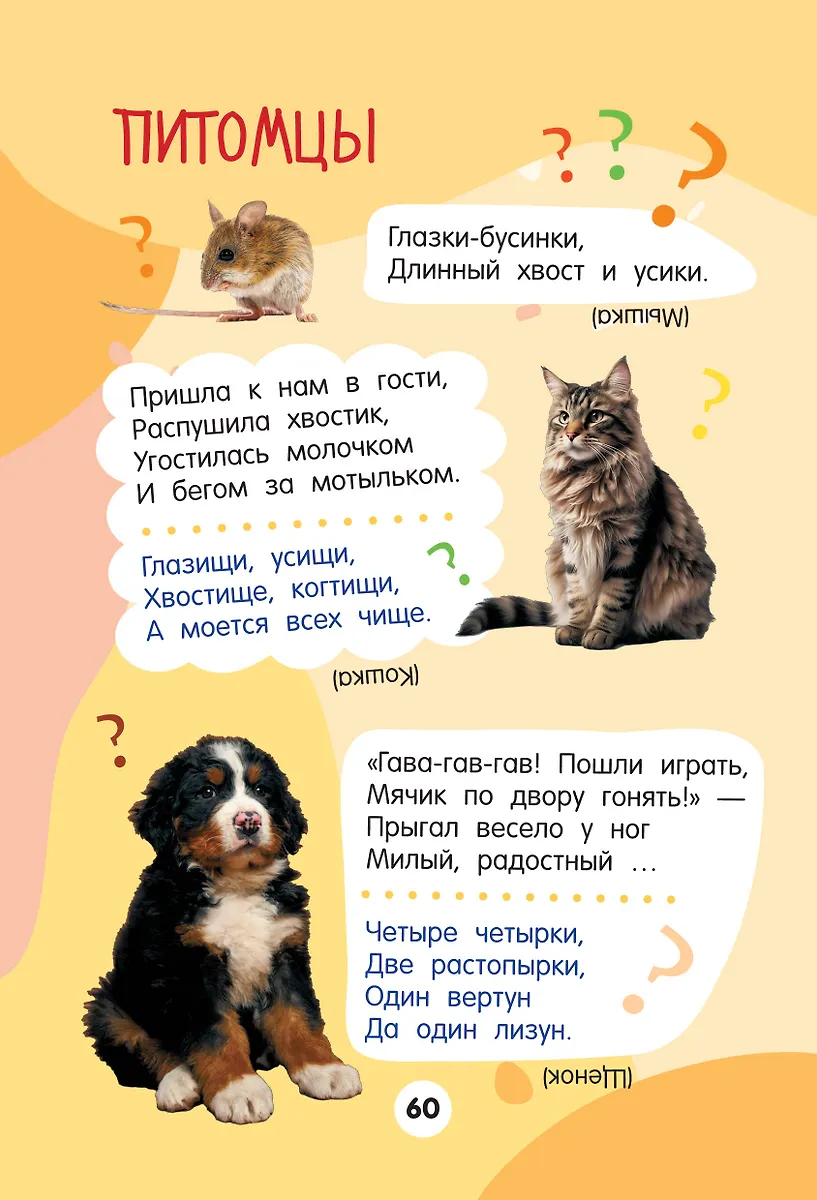 1001 загадка фото книги маленькое 11