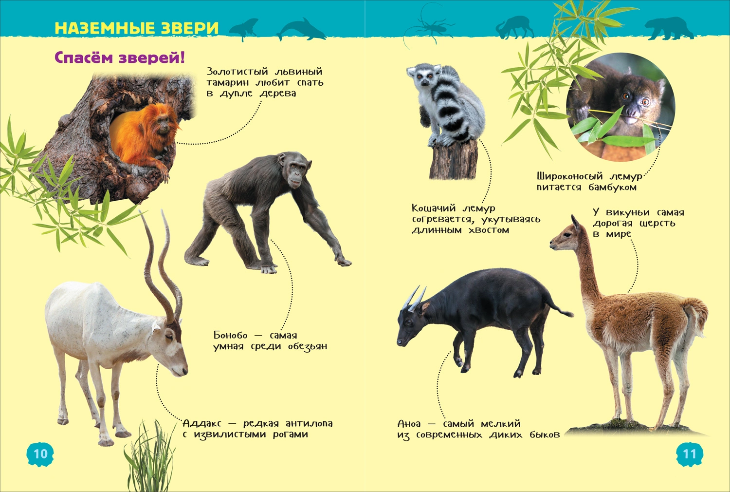 Красная книга мира. Энциклопедия для детского сада фото книги маленькое 8