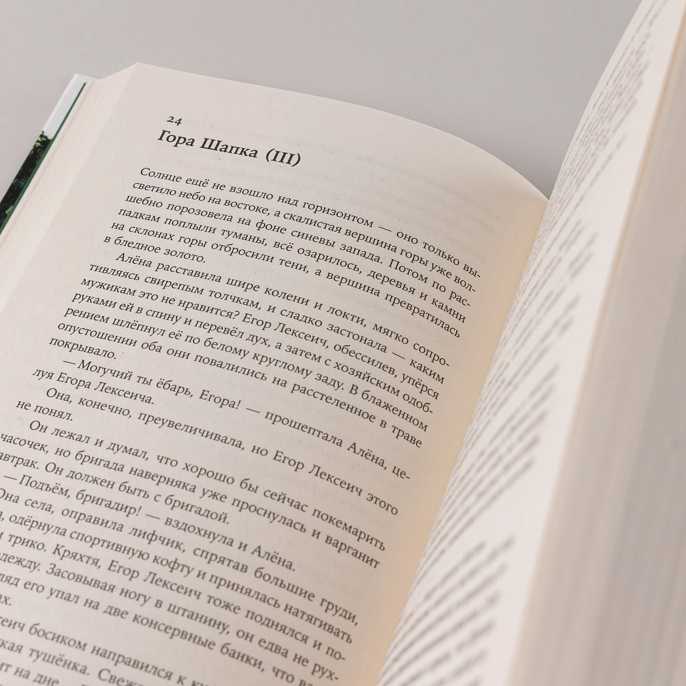 Вегетация фото книги маленькое 11