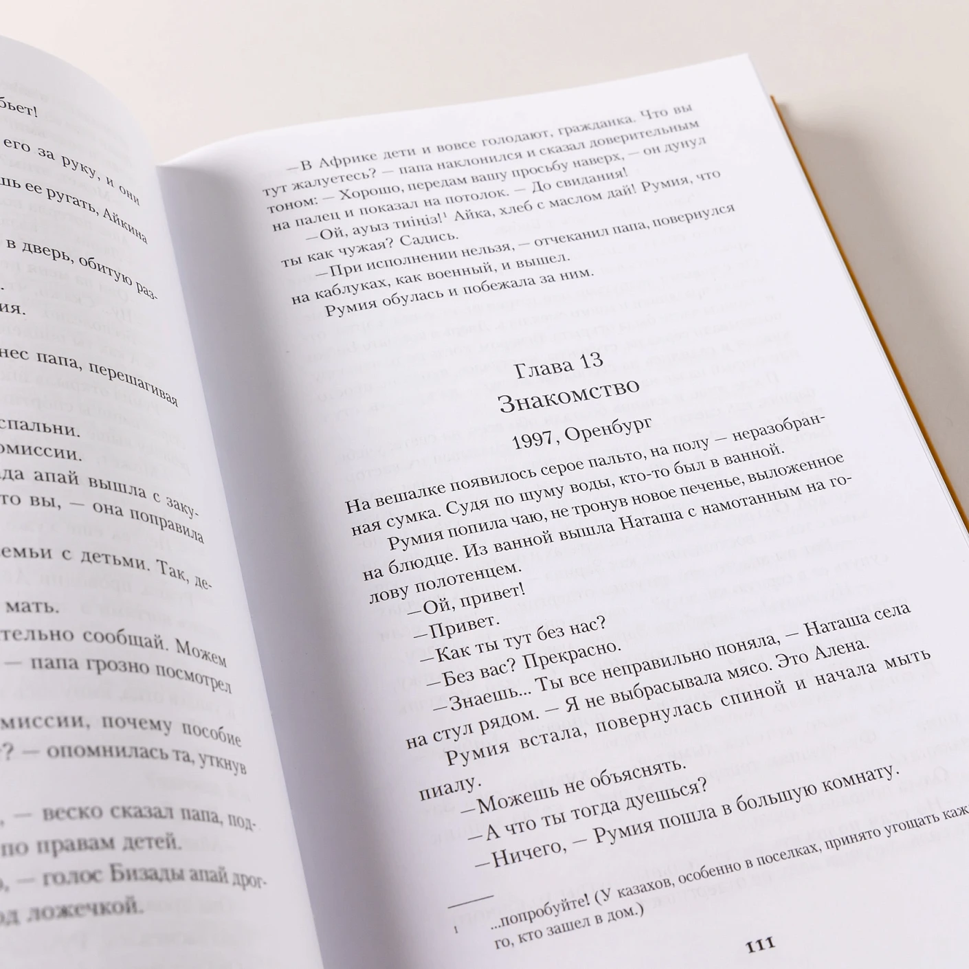 Румия фото книги маленькое 11