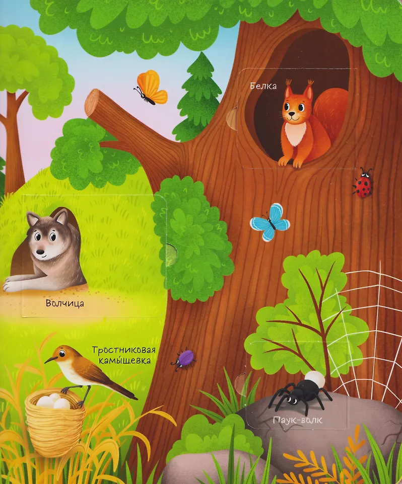 Мамы и малыши. Книга с окошками фото книги маленькое 5