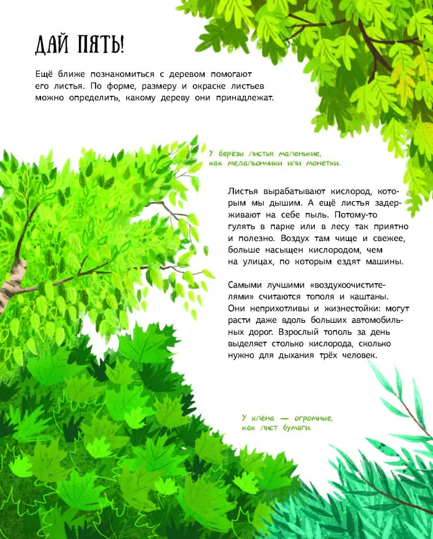 Как зовут твое дерево? фото книги маленькое 7