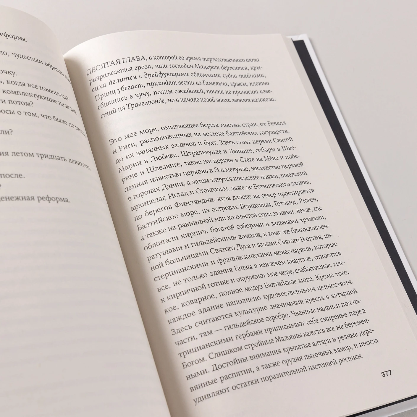 Крысиха фото книги маленькое 6