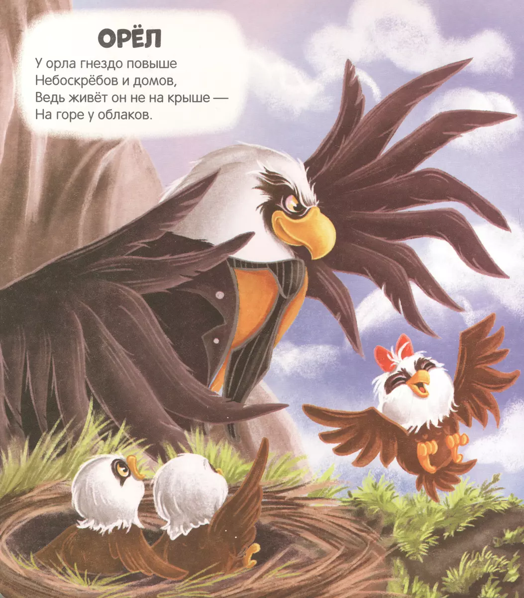 Чудесные превращения. Превращения в природе фото книги маленькое 3