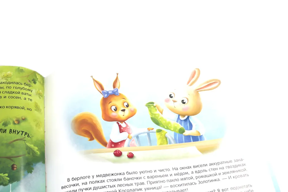 Косолапик и лесной невидимка фото книги маленькое 11