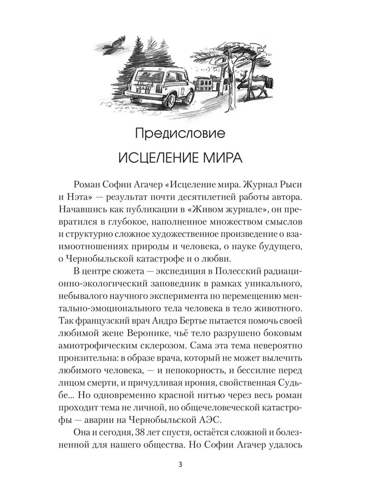 Исцеление мира. Журнал Рыси и Нэта фото книги маленькое 4