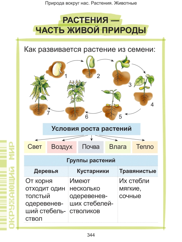Наглядный курс начальной школы фото книги маленькое 17