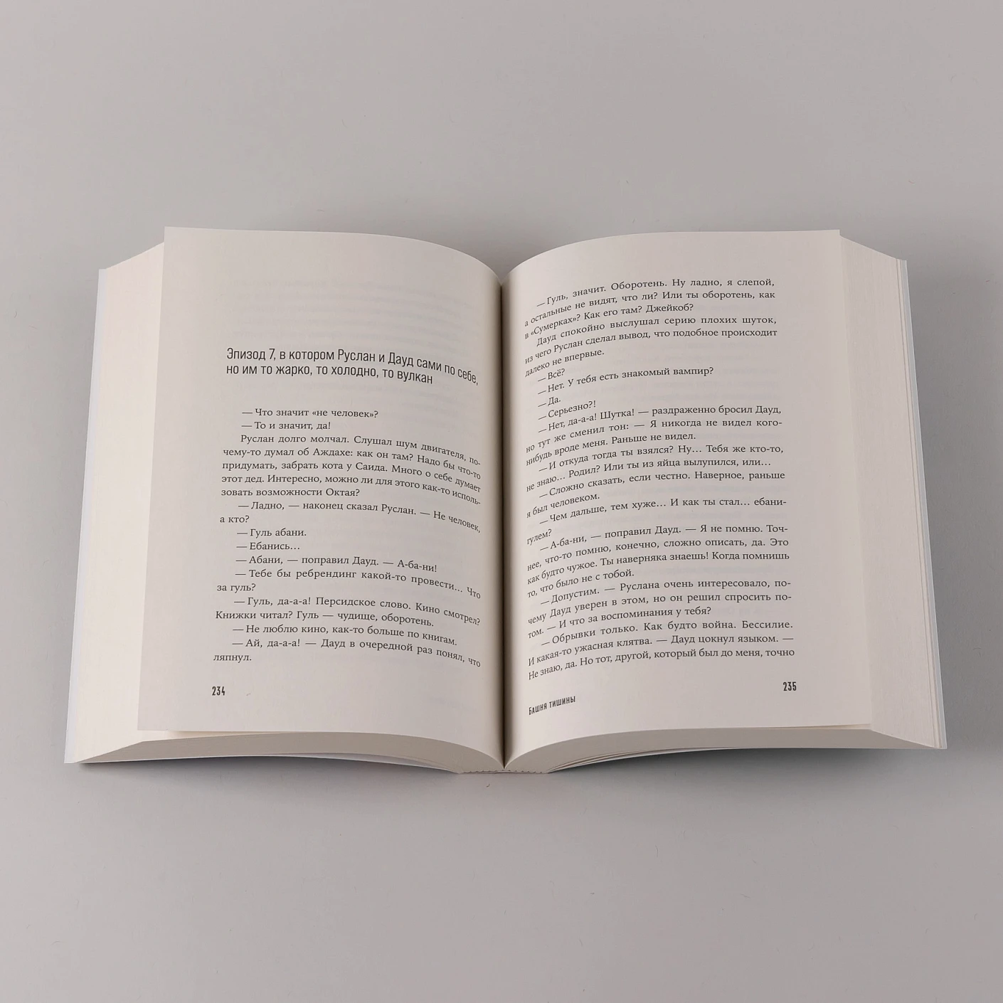 Башня тишины фото книги маленькое 5