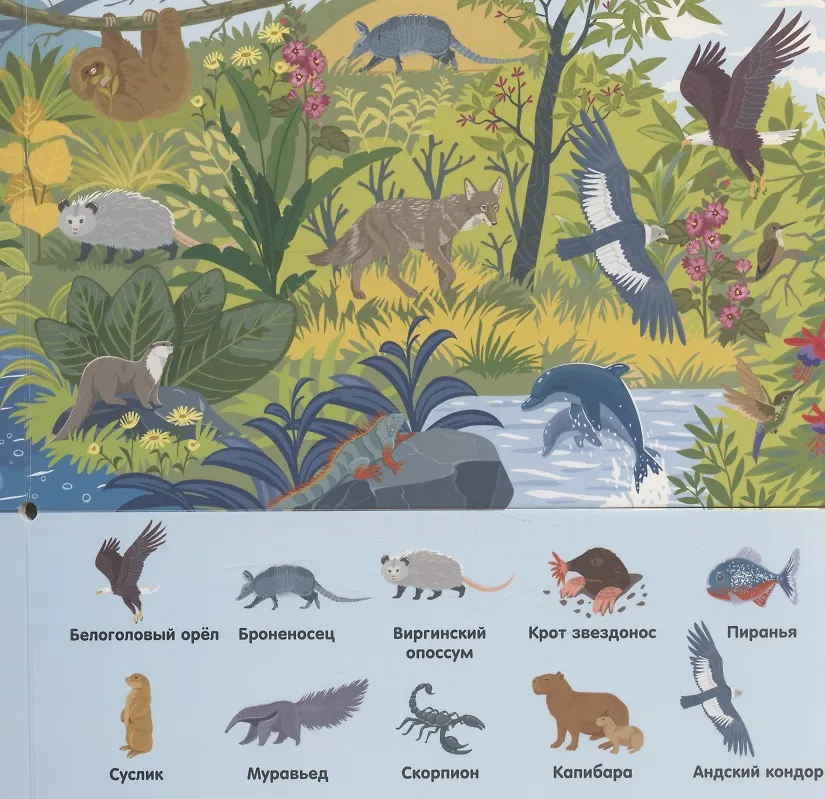 В зоопарке фото книги маленькое 5