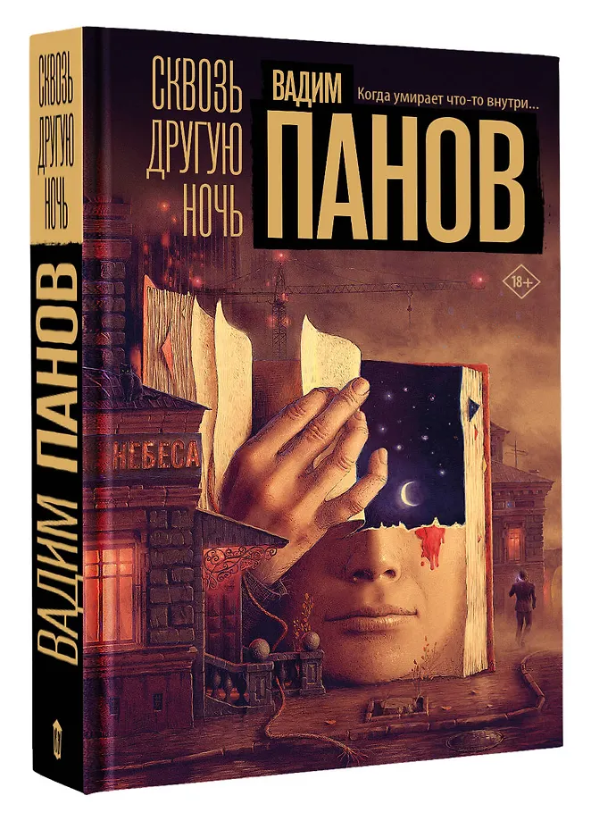 Сквозь другую ночь фото книги маленькое 4