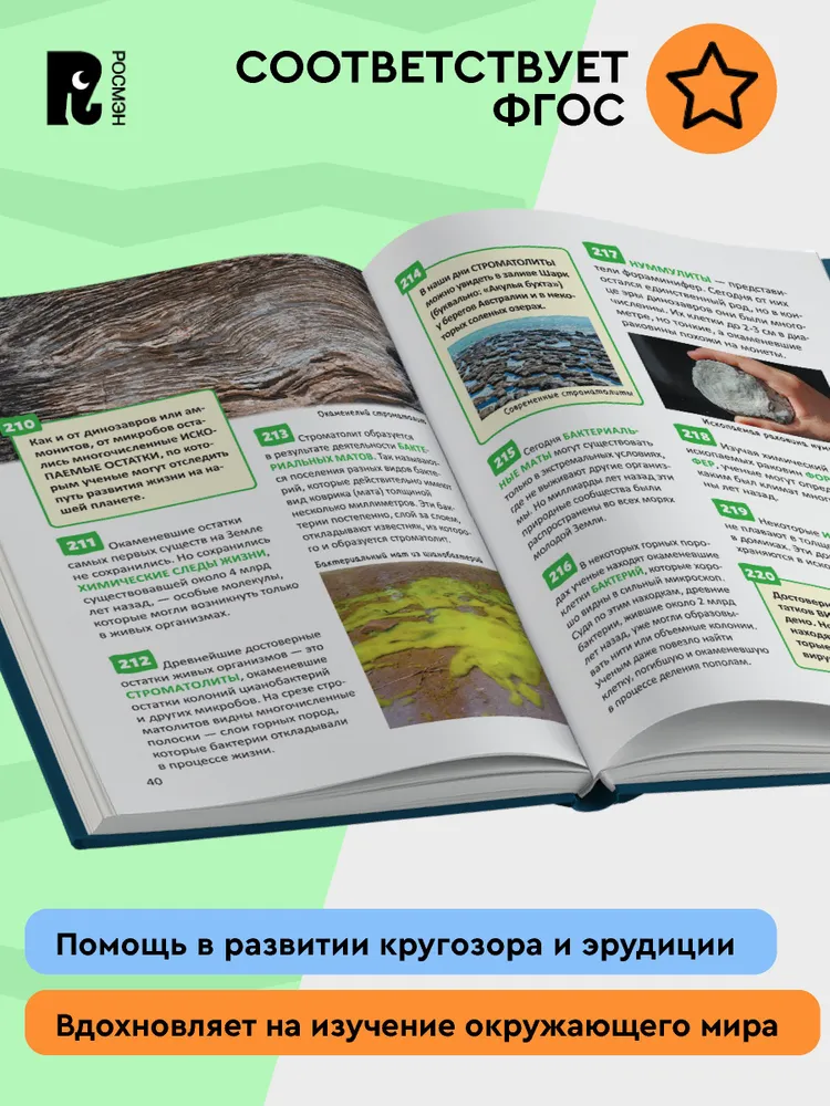 Птицы. Энциклопедия российского школьника фото книги маленькое 7