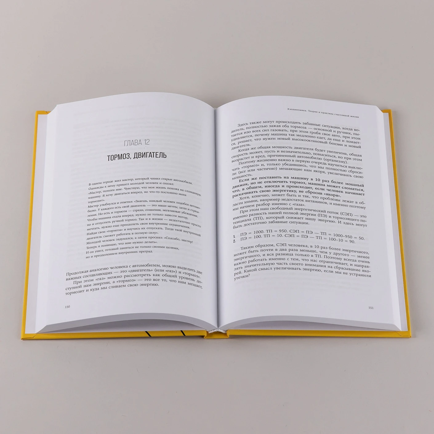 Хэппиномика. Теория и практика счастливой жизни фото книги маленькое 6