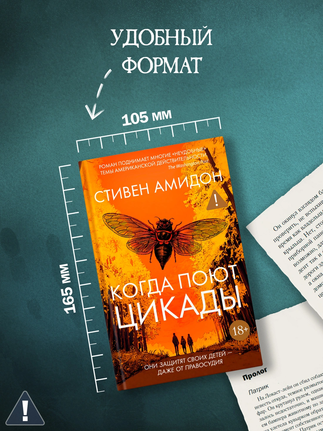 Когда поют цикады фото книги маленькое 7