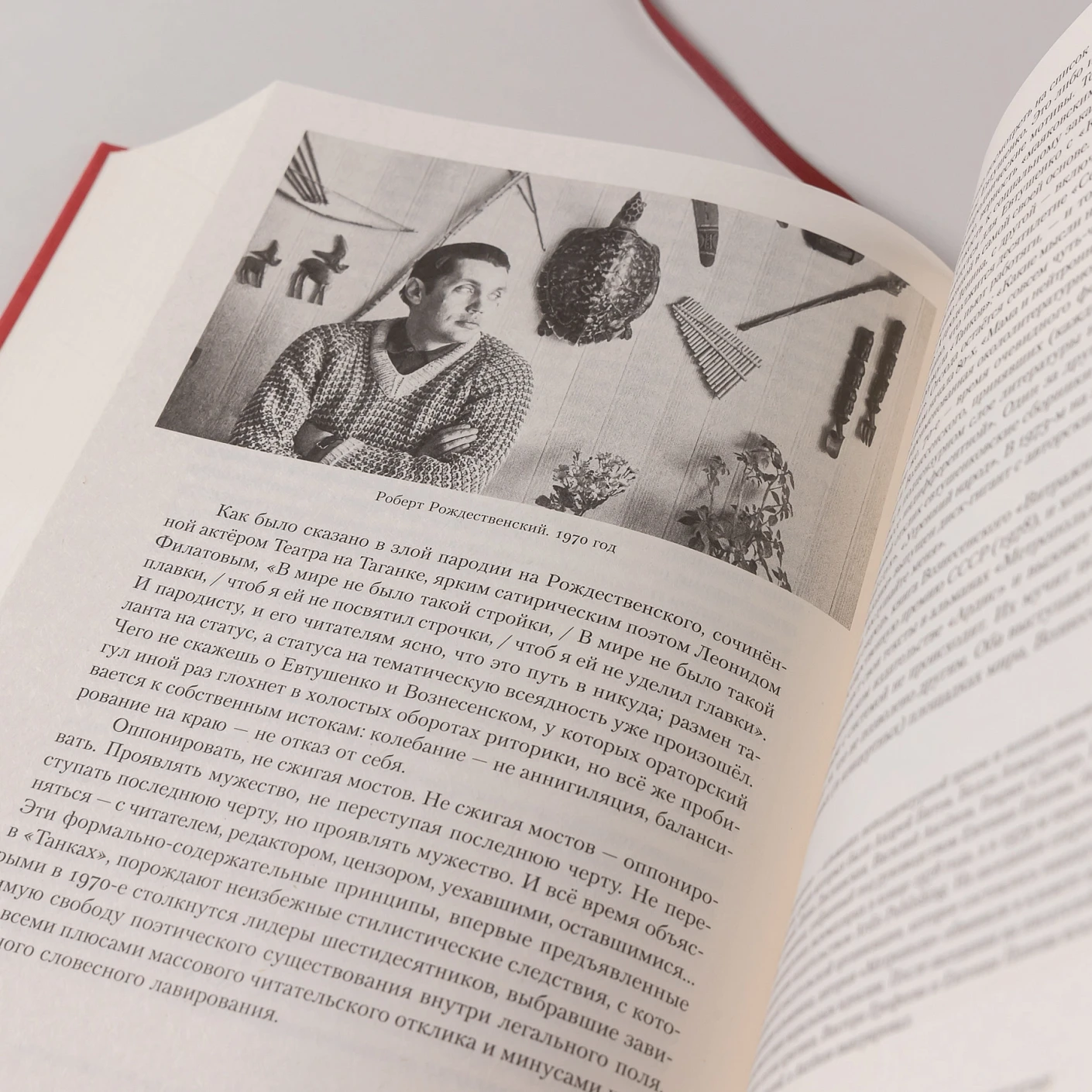 Полка: История русской поэзии фото книги маленькое 12