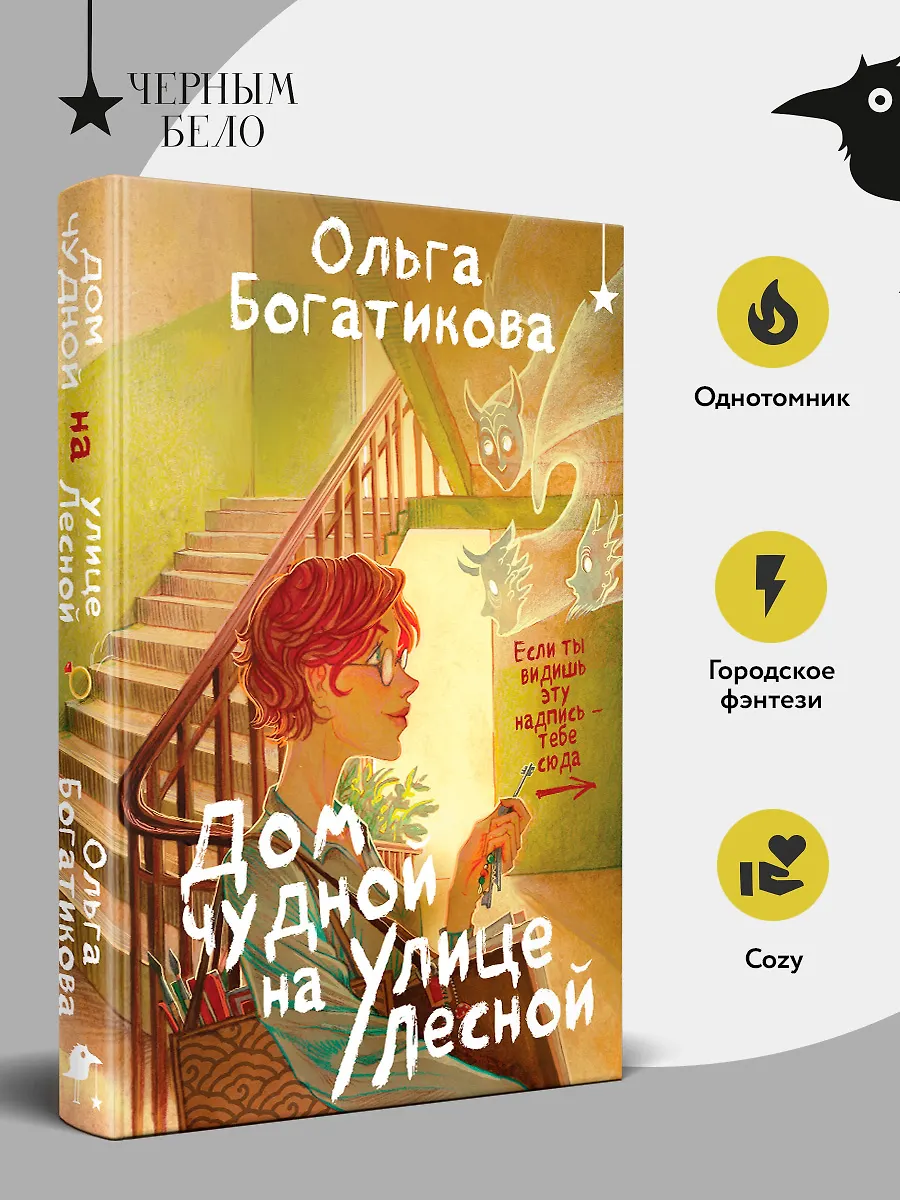 Дом чудной на улице Лесной фото книги маленькое 4