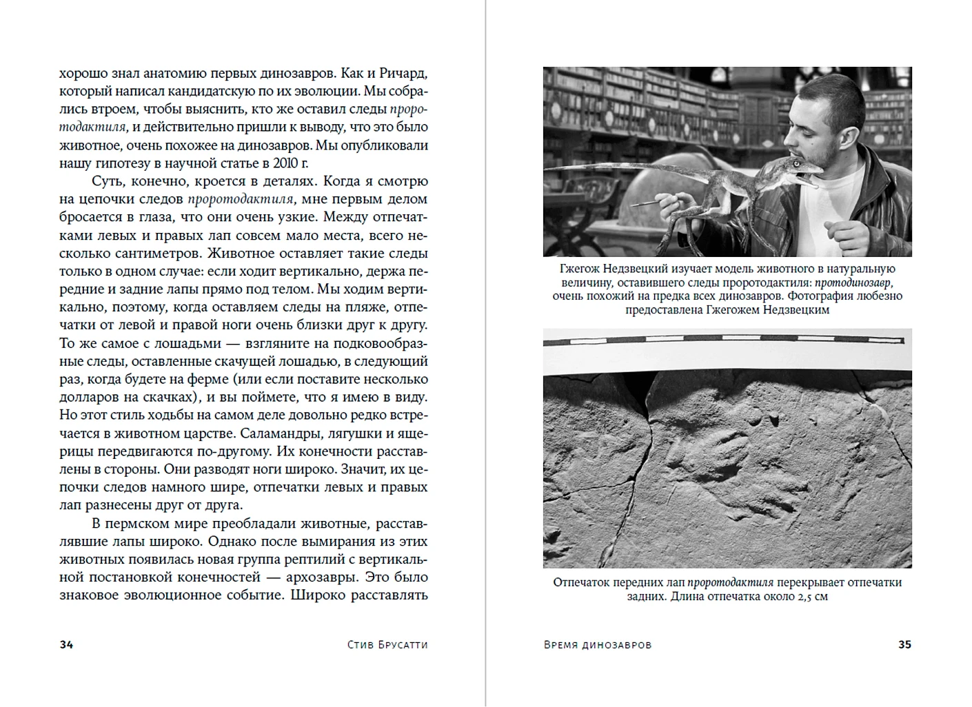 Время динозавров. Новая история древних ящеров фото книги маленькое 5