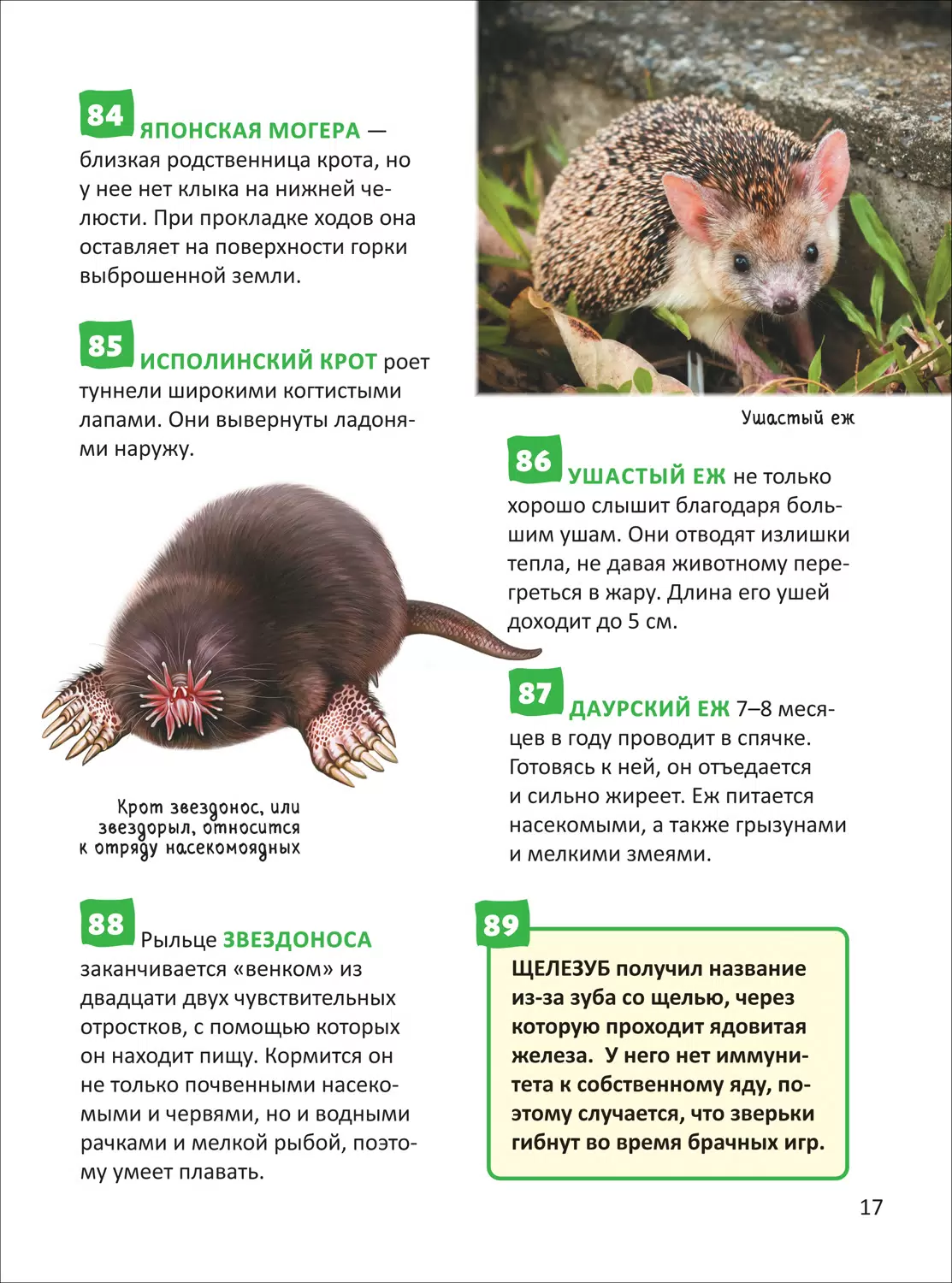 Красная книга. Энциклопедия российского школьника фото книги маленькое 6