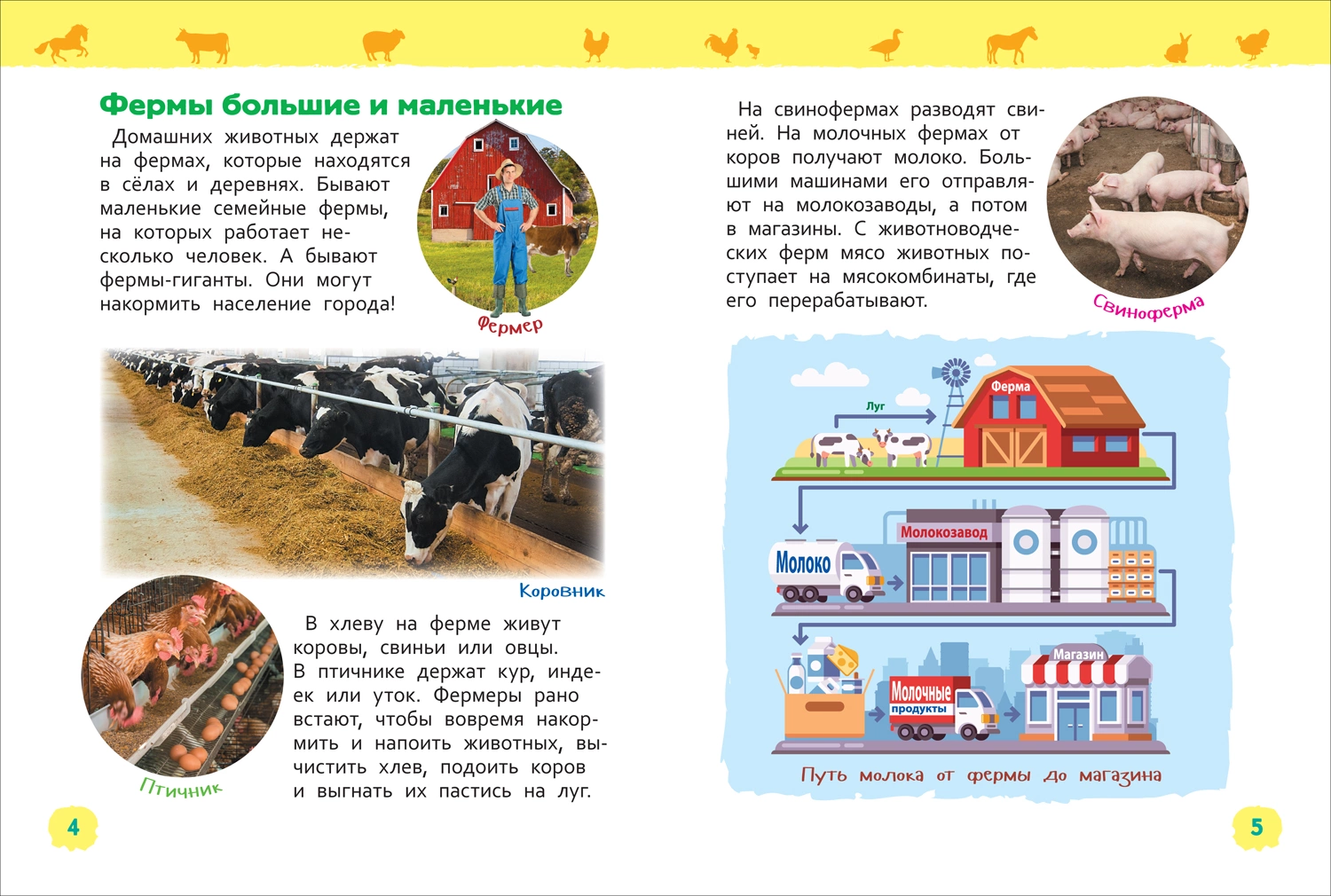 Домашние животные. Энциклопедия для детского сада фото книги маленькое 3