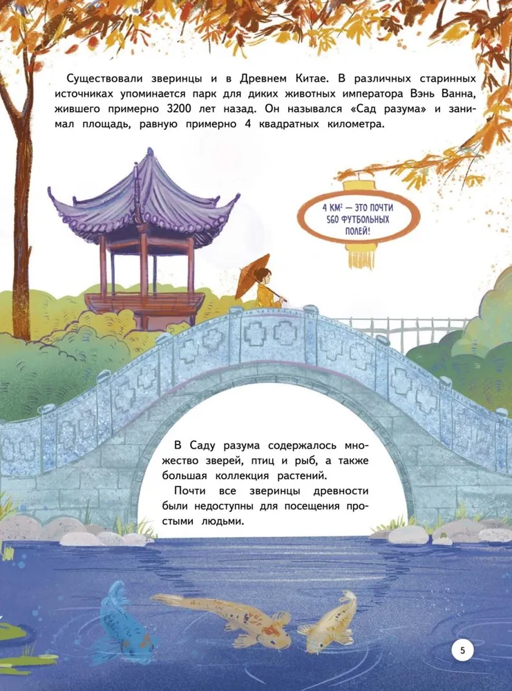 Зоопарк. Звериная история фото книги маленькое 9