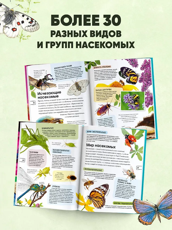 Насекомые фото книги маленькое 5