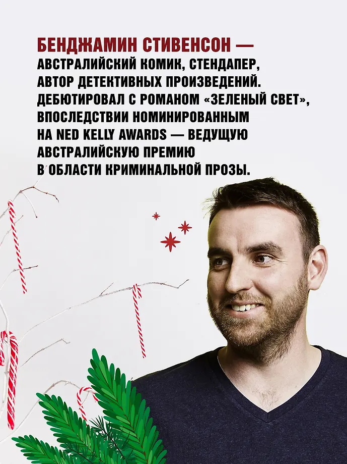 В Рождество у каждого свой секрет фото книги маленькое 5