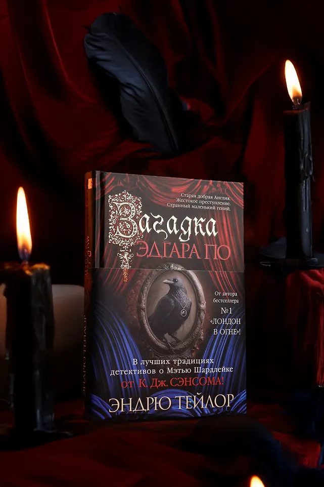 Загадка Эдгара По фото книги маленькое 14