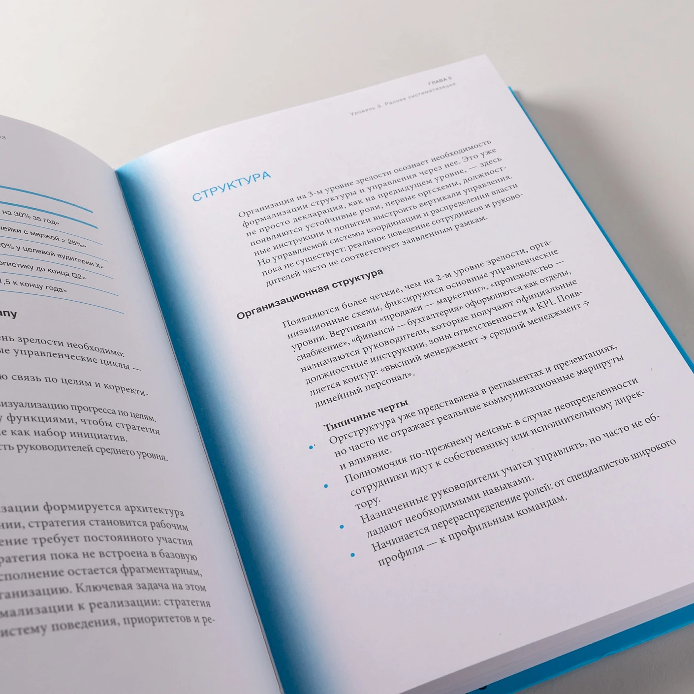 Организационная зрелость и управление кризисами. Как компания становится системой фото книги маленькое 5