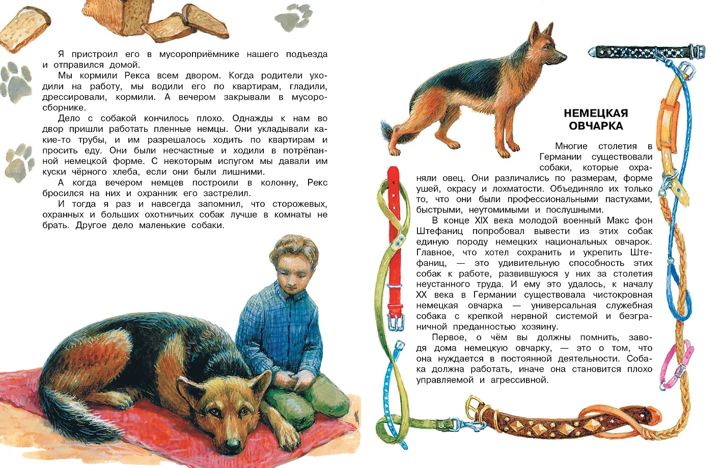 Как правильно любить собак. Рассказы фото книги маленькое 9