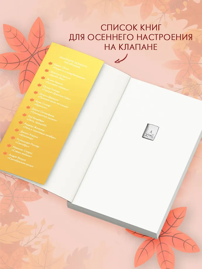 Принц из книжного фото книги маленькое 5