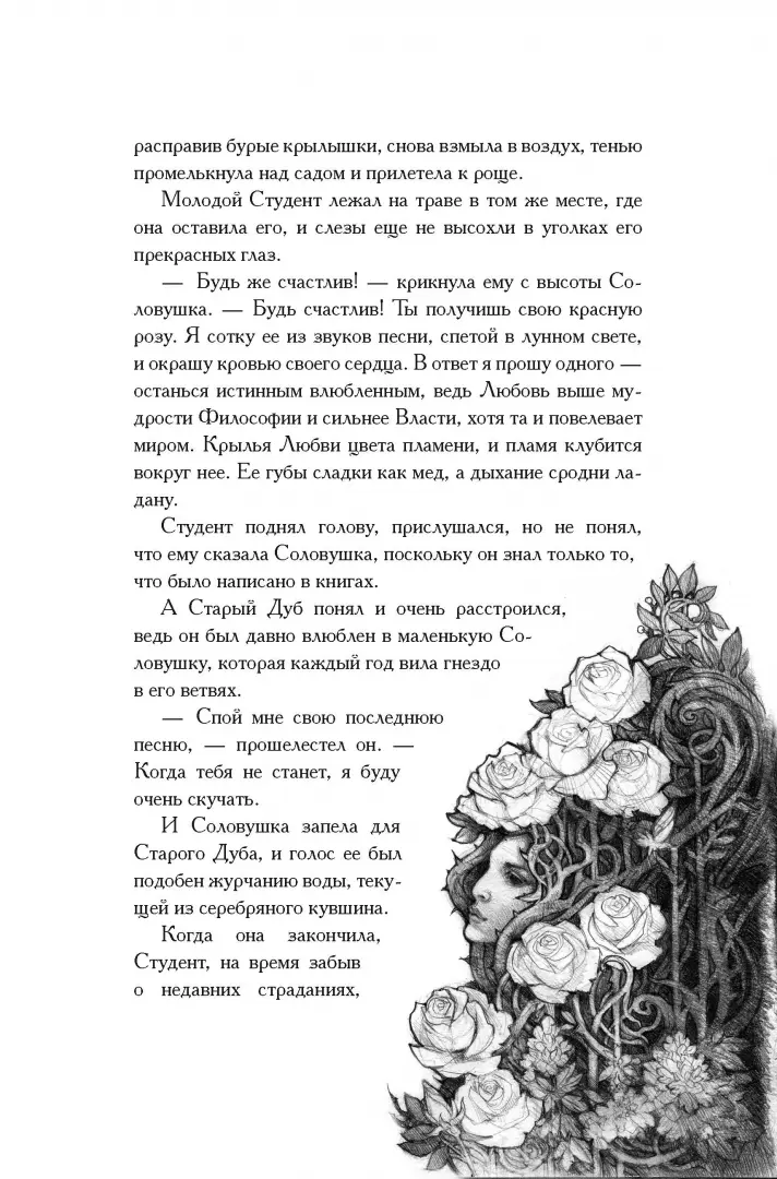Соловей и роза фото книги маленькое 8