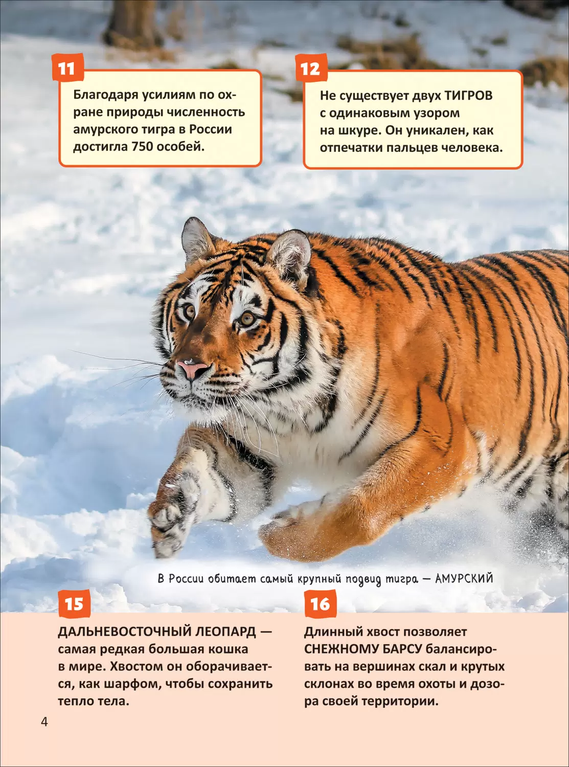 Красная книга. Энциклопедия российского школьника фото книги маленькое 3