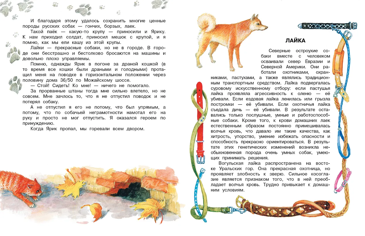 Как правильно любить собак. Рассказы фото книги маленькое 7
