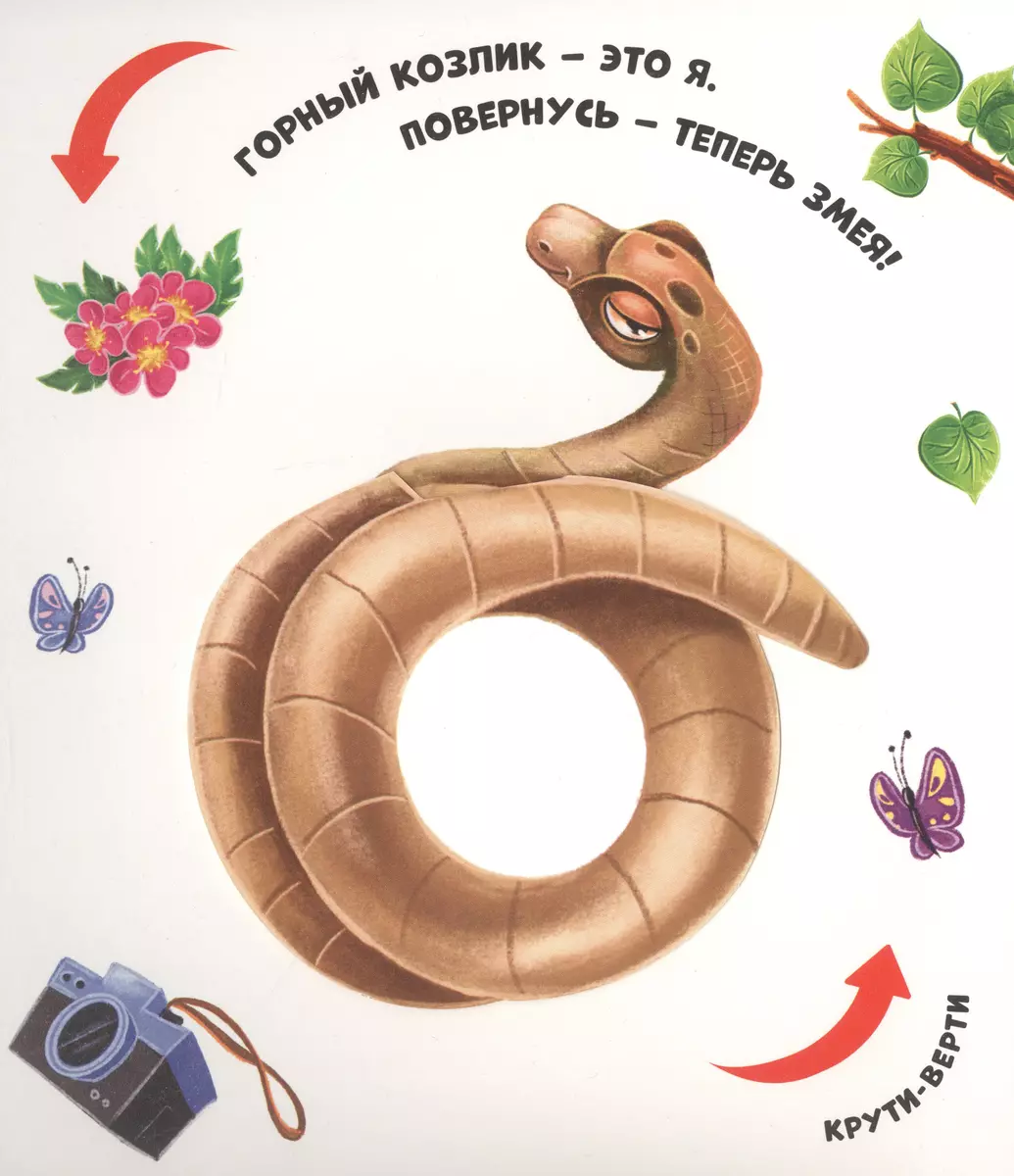 Чудесные превращения. Превращения в зоопарке фото книги маленькое 5