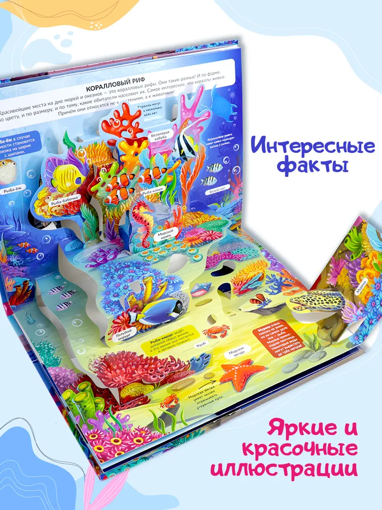 Энциклопедия с объёмными элементами POP UP. Море фото книги маленькое 6