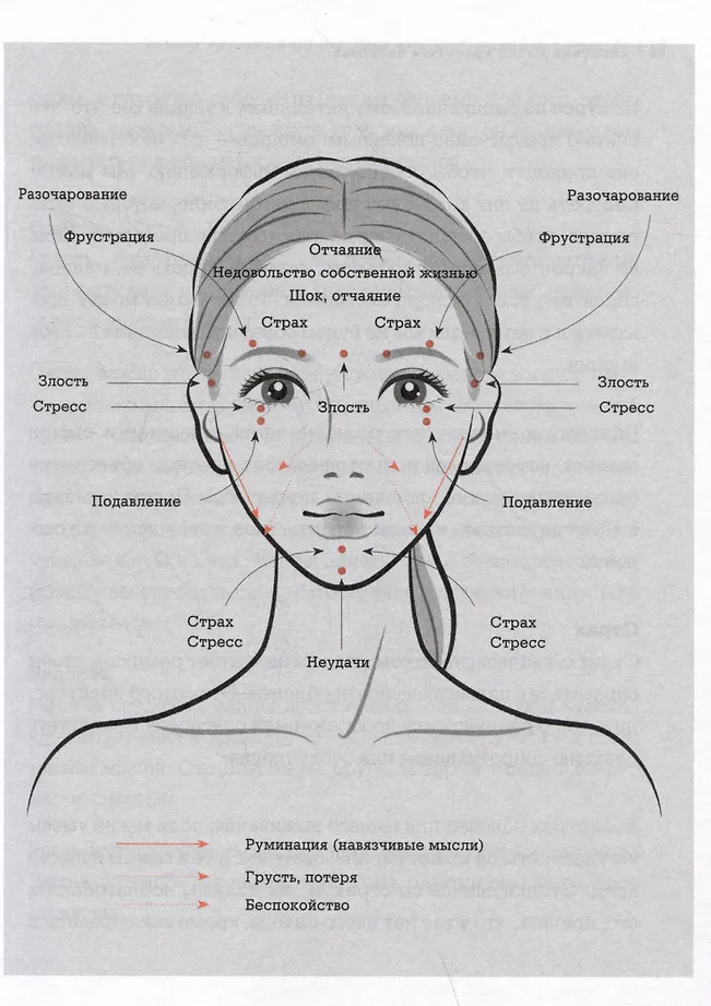 Японский метод молодости и красоты. Массаж и гимнастика для лица фото книги маленькое 5