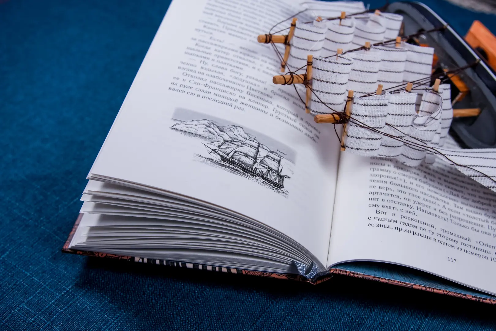 Пассажирка фото книги маленькое 13