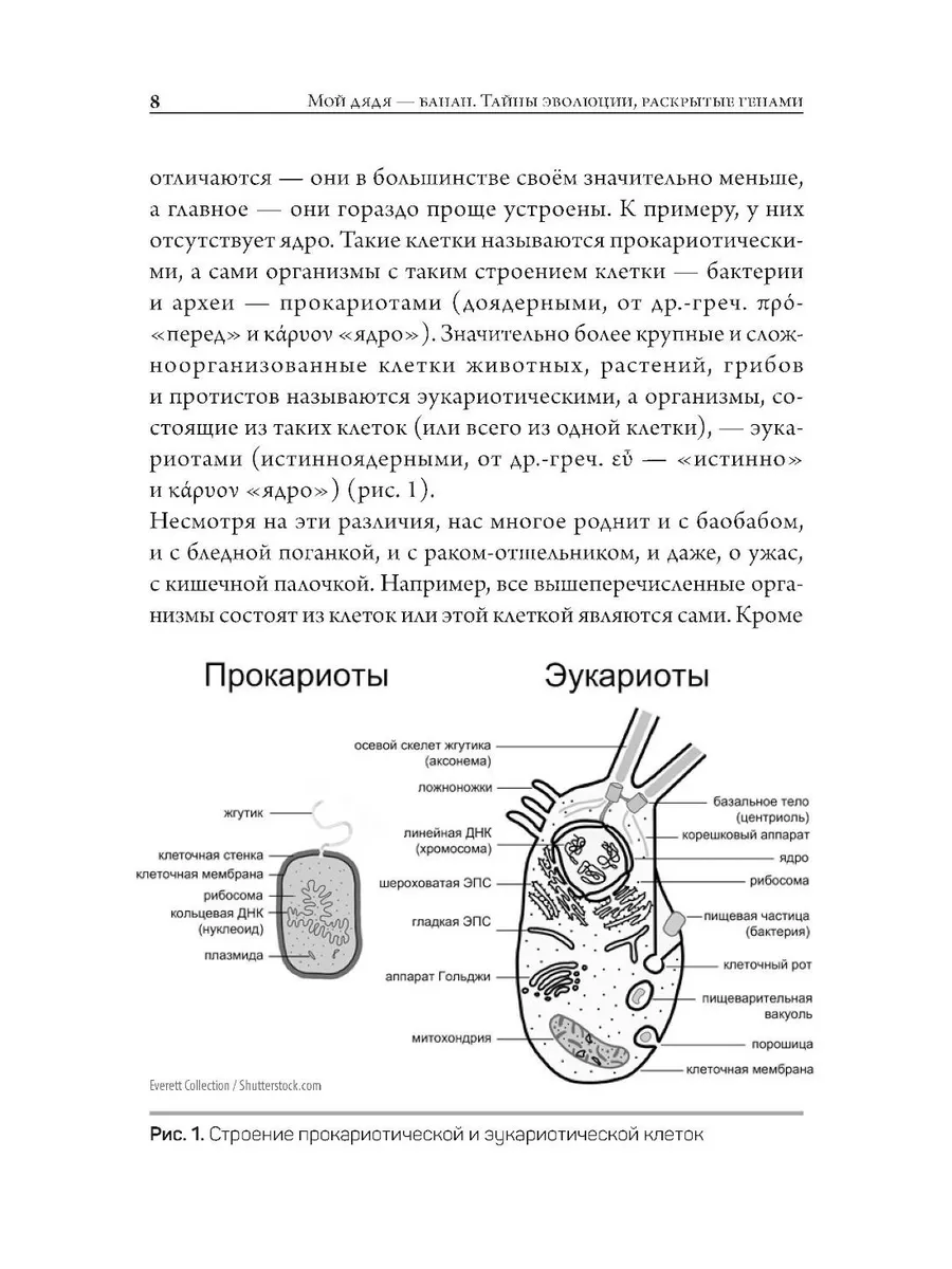 Мой дядя — банан. Тайны эволюции, раскрытые генами фото книги маленькое 5