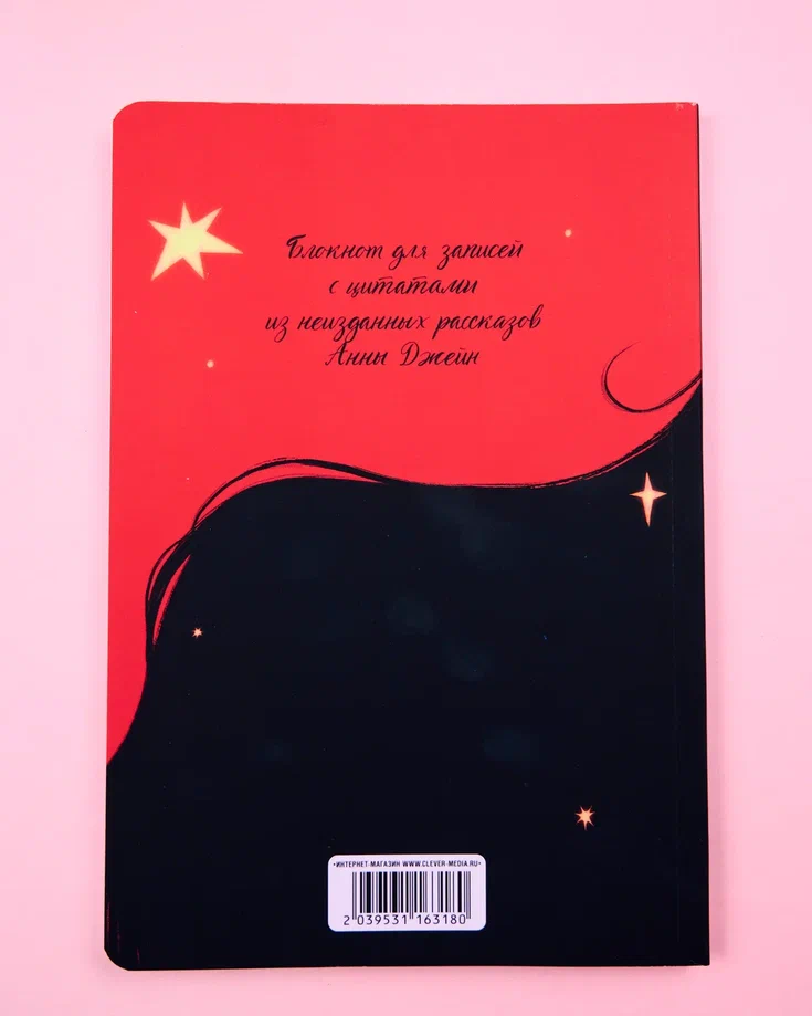 Блокнот для записей с цитатами из неизданных рассказов Анны Джейн фото книги маленькое 4
