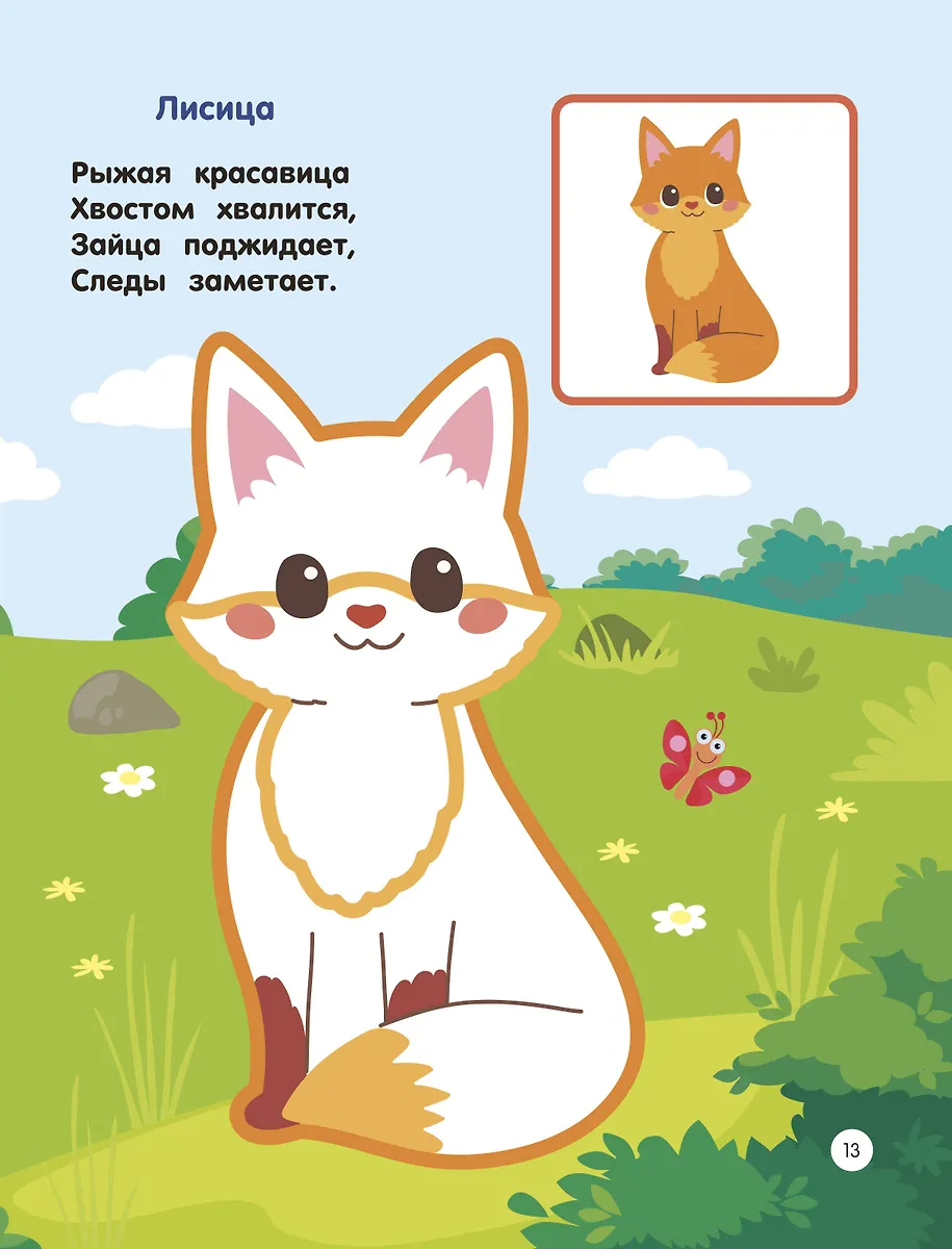 Зоопарк. Раскраски по образцу фото книги маленькое 9