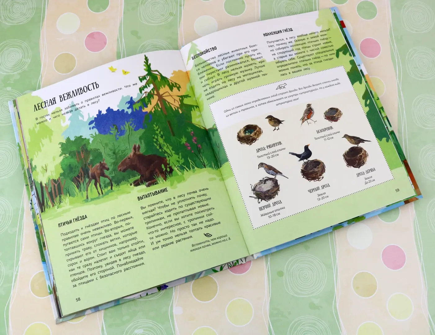 Лес. Самый умный дом на свете фото книги маленькое 13