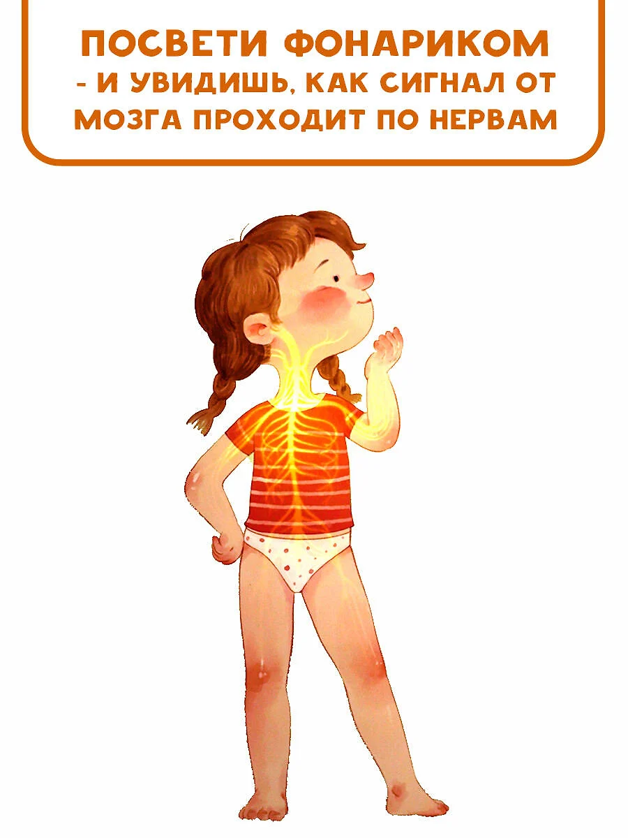 Все секреты человека фото книги маленькое 7